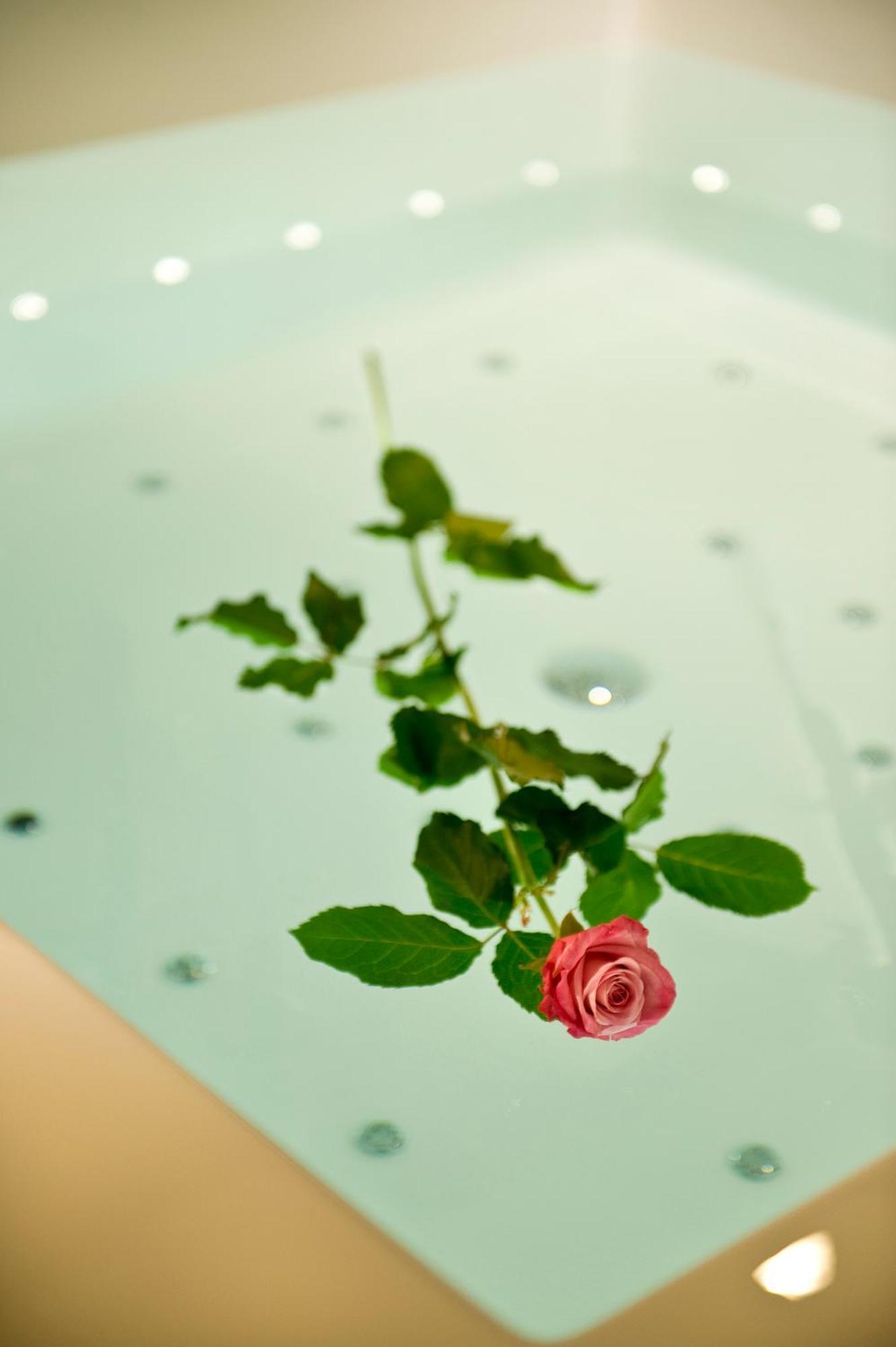 Viola Mhotel Grumello del Monte Dış mekan fotoğraf